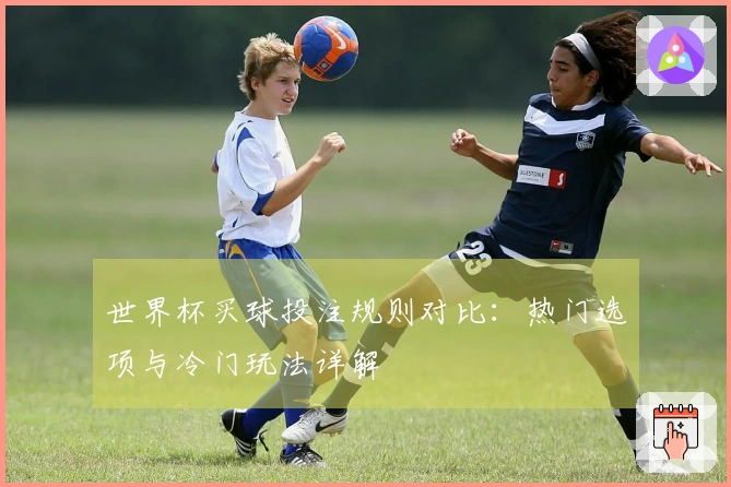 世界杯买球投注规则对比：热门选项与冷门玩法详解