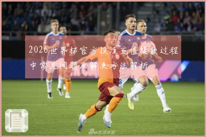 2026世界杯官方投注充值提款过程中常见问题及解决方法解析