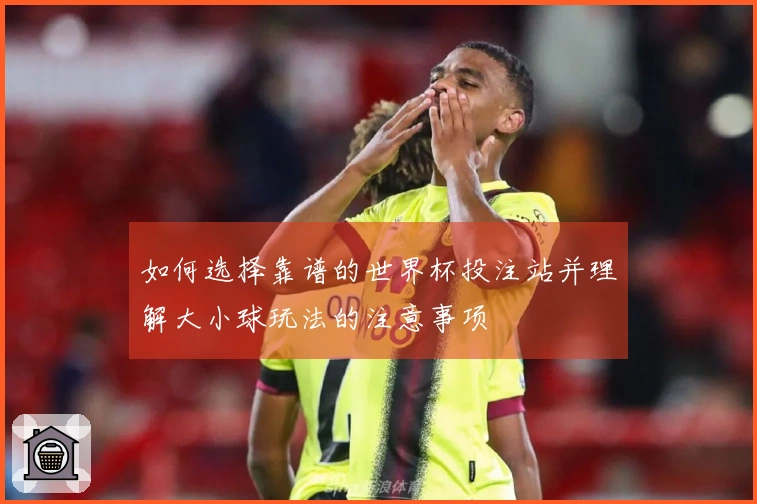 如何选择靠谱的世界杯投注站并理解大小球玩法的注意事项