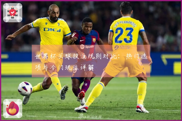 世界杯买球投注规则对比：热门选项与冷门玩法详解