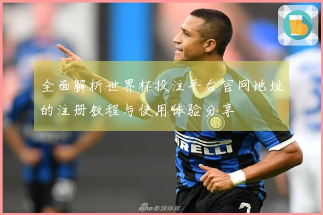 全面解析世界杯投注平台官网地址的注册教程与使用体验分享