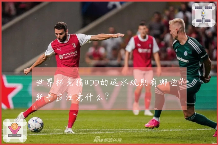 世界杯竞猜app的返水规则有哪些？新手应注意什么？