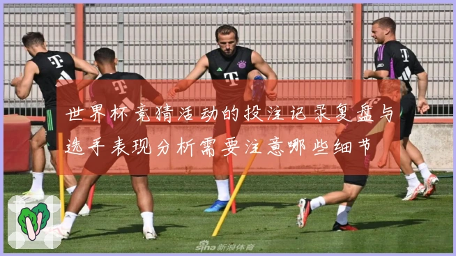 世界杯竞猜活动的投注记录复盘与选手表现分析需要注意哪些细节