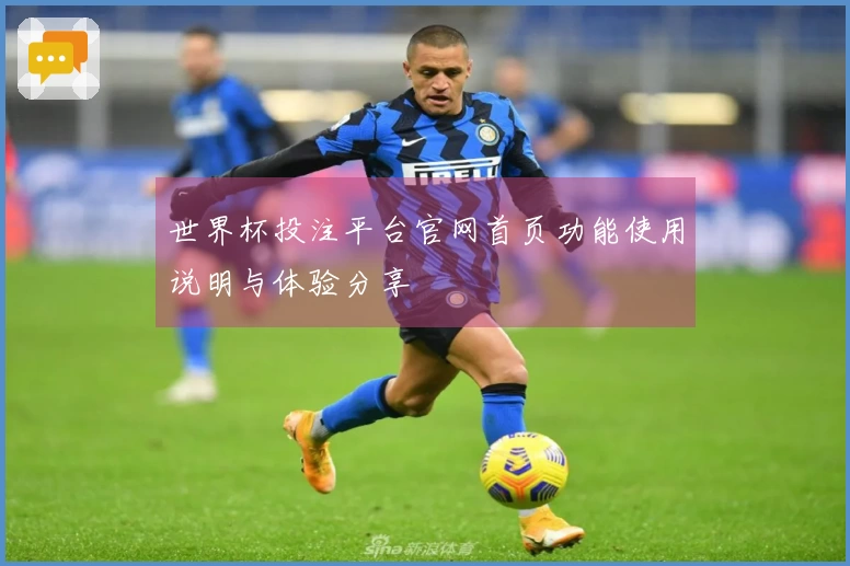 世界杯投注平台官网首页功能使用说明与体验分享