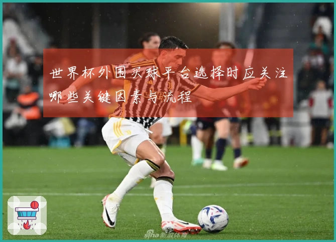 世界杯外围买球平台选择时应关注哪些关键因素与流程