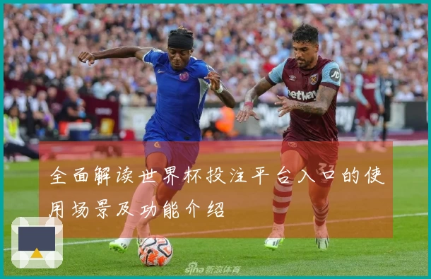 全面解读世界杯投注平台入口的使用场景及功能介绍