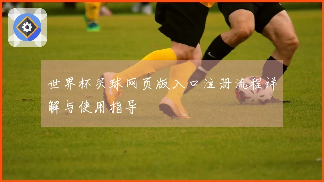 世界杯买球网页版入口注册流程详解与使用指导