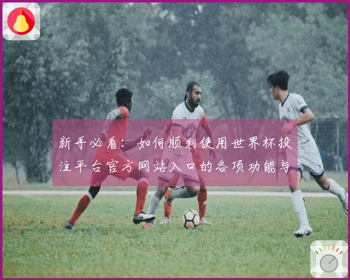 新手必看：如何顺利使用世界杯投注平台官方网站入口的各项功能与特点