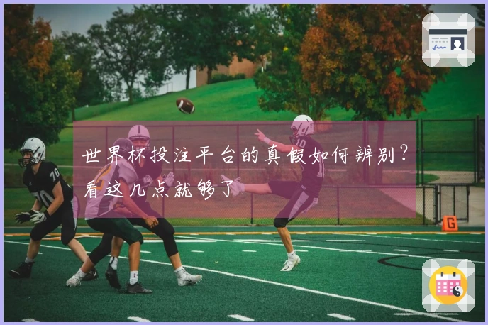 世界杯投注平台的真假如何辨别？看这几点就够了
