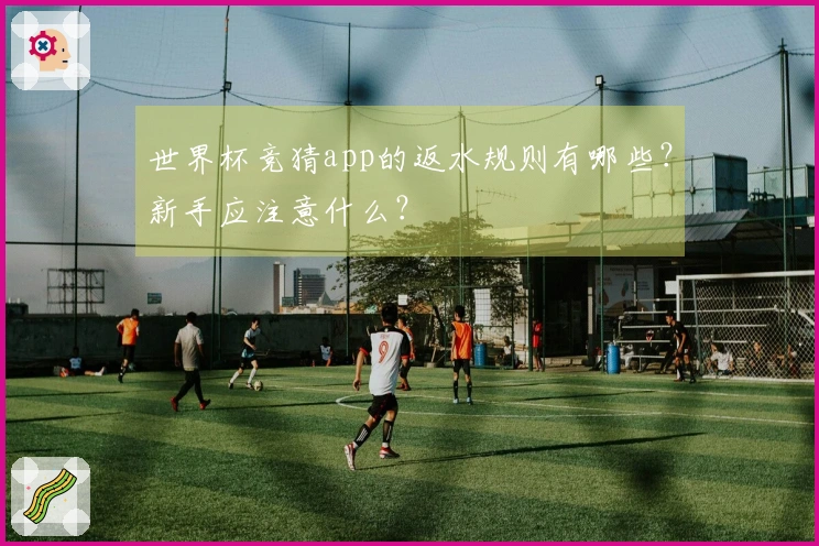 世界杯竞猜app的返水规则有哪些？新手应注意什么？