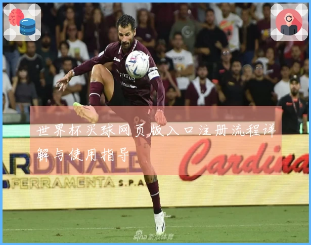 世界杯买球网页版入口注册流程详解与使用指导