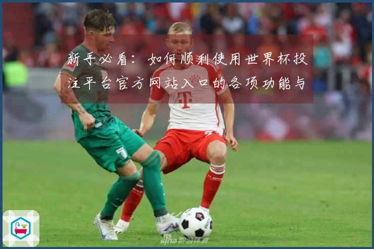 新手必看：如何顺利使用世界杯投注平台官方网站入口的各项功能与特点